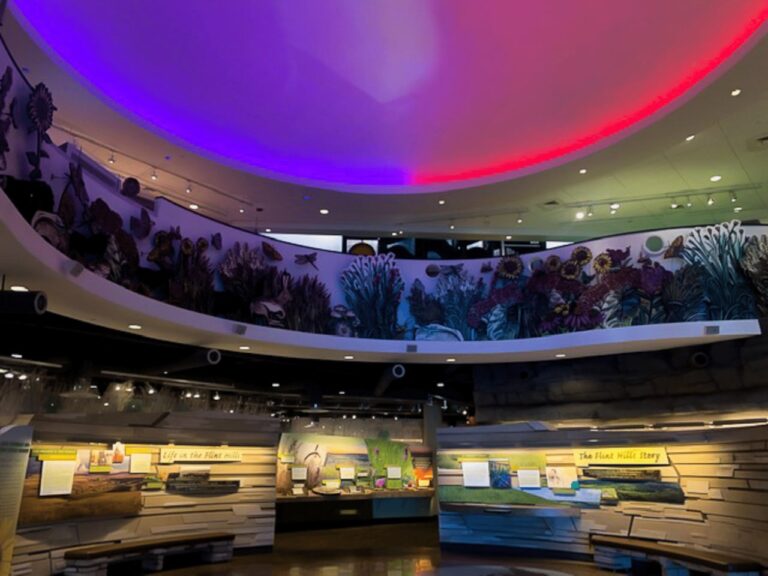 Flint-Hills-Discovery-Center-Entry-Lobby