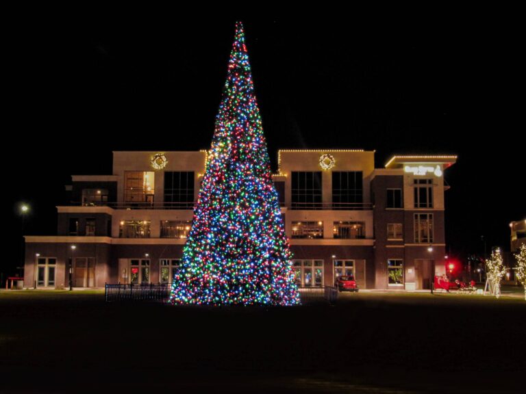 Tree-Lighting-Ceremony-scaled